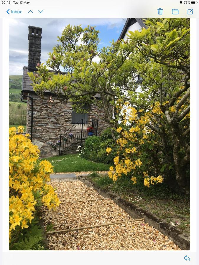 Hares Hideaway At Coed Moelfa Bed and Breakfast Corwen Eksteriør billede